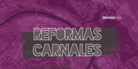 Cartel presentación "Reformas carnales"