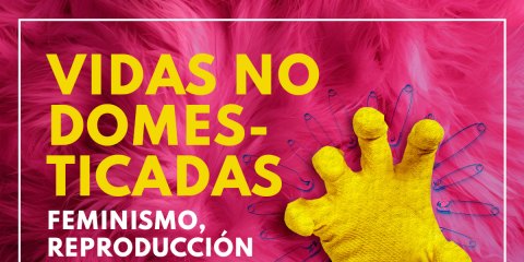 Curso Vidas no domesticadas. Feminismos, reproducción social y cuidados
