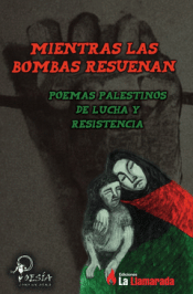 Cover Image: MIENTRAS LAS BOMBAS RESUENAN