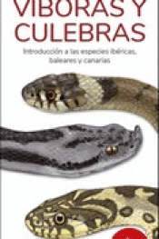 Cover Image: VÍBORAS Y CULEBRAS
