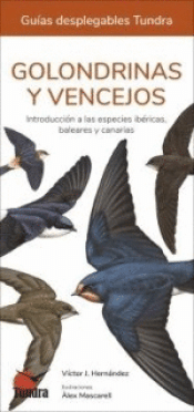 Cover Image: GOLONDRINAS Y VENCEJOS