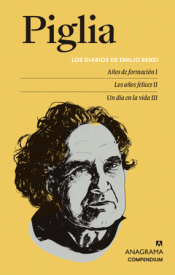 Cover Image: LOS DIARIOS DE EMILIO RENZI