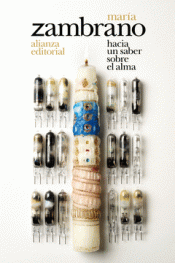 Cover Image: HACIA UN SABER SOBRE EL ALMA