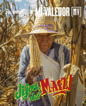 Cover Image: MI VALEDOR #36