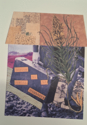 Cover Image: MUSEO DE LA MUJER MIGRANTE