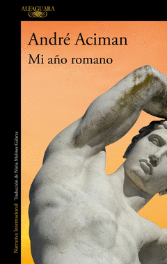 Cover Image: MI AÑO ROMANO