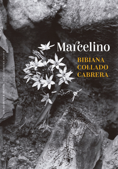 Cover Image: MARCELINO