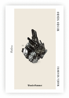 Cover Image: MUSEO NEGRO