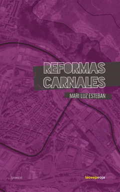 Cover Image: REFORMAS CARNALES