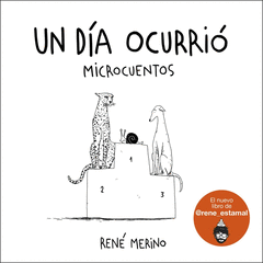 UN DÍA OCURRIÓ Cover Image: UN DÍA OCURRIÓ