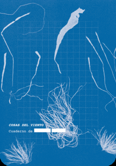 COSAS DEL VIENTO Cover Image: COSAS DEL VIENTO