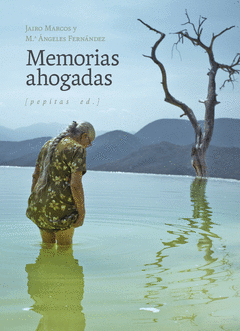 Cover Image: MEMORIAS AHOGADAS