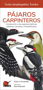 PÁJAROS CARPINTEROS Cover Image: PÁJAROS CARPINTEROS