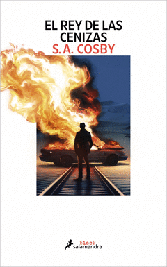 Cover Image: EL REY DE LAS CENIZAS