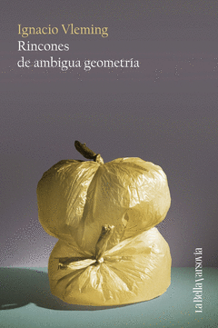 Cover Image: RINCONES DE AMBIGUA GEOMETRÍA