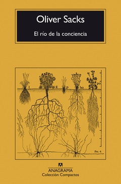 Cover Image: EL RÍO DE LA CONCIENCIA