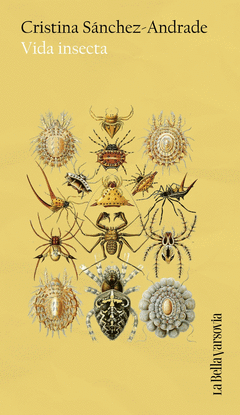 VIDA INSECTA Cover Image: VIDA INSECTA