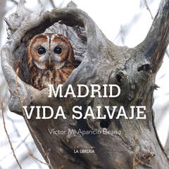 Cover Image: MADRID VIDA SALVAJE