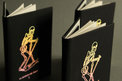 Cover Image: LA MUERTE DEL TAROT