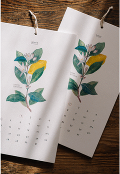 CALENDARIO BOTÁNICO 2026 Cover Image: CALENDARIO BOTÁNICO 2026