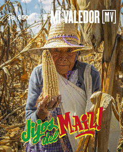 Cover Image: MI VALEDOR #36