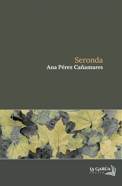 Cover Image: SERONDA